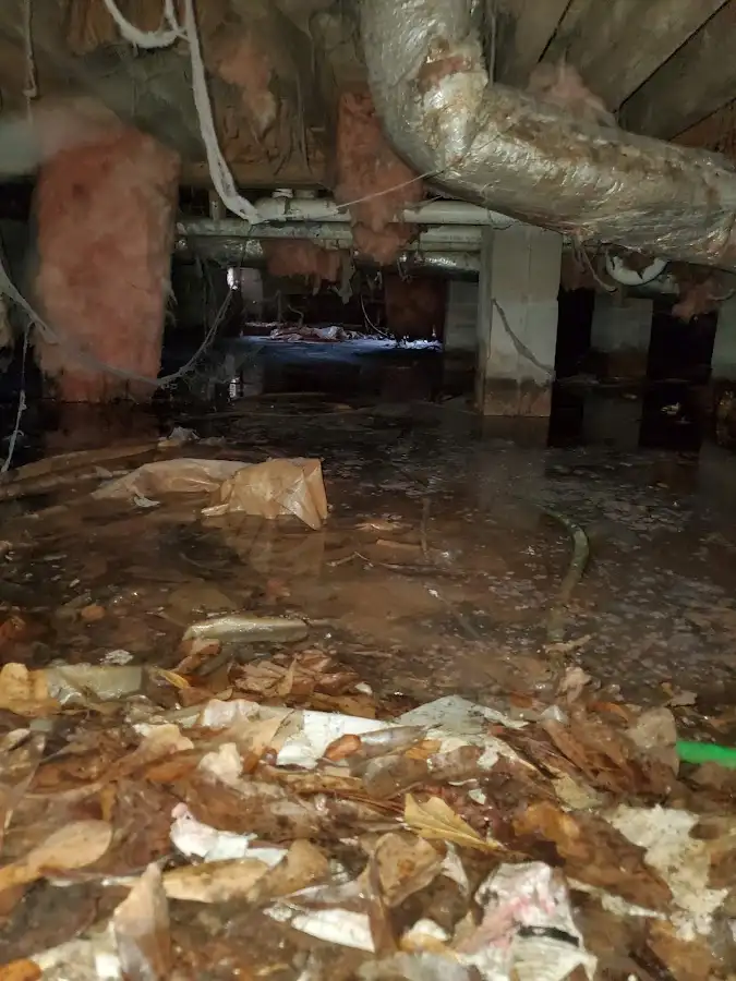 Crawl space flood assessment for Leak Detection & Repair in Kingston