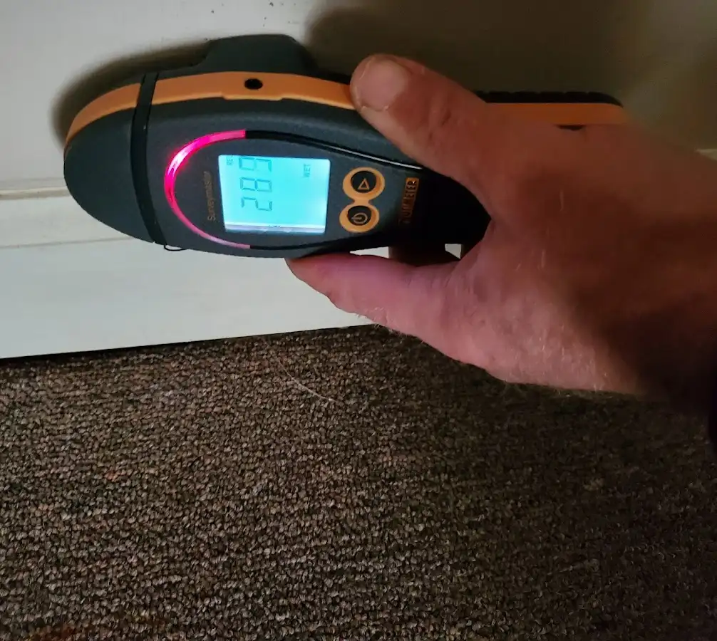 Moisture detection at baseboard during Burst Pipe Cleanup in Kingston